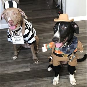 Meet your Posher, Perla